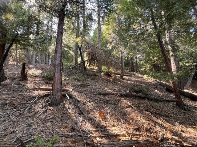0 Lausanne, Crestline, CA 92325