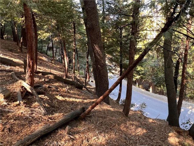 0 Lausanne, Crestline, CA 92325