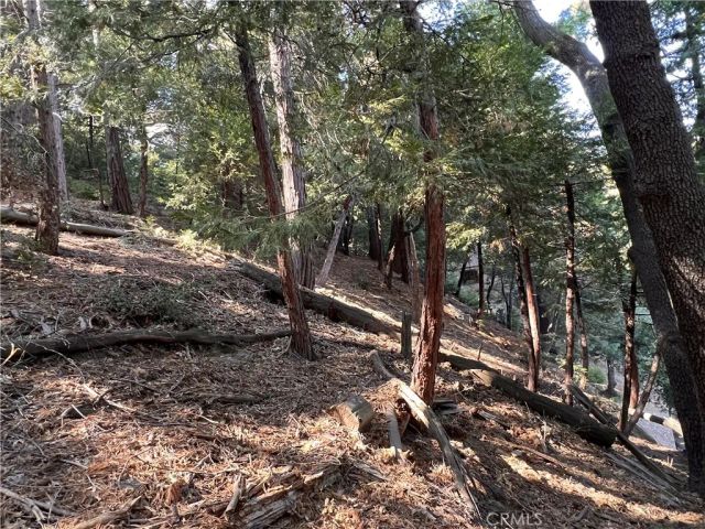 0 Lausanne, Crestline, CA 92325