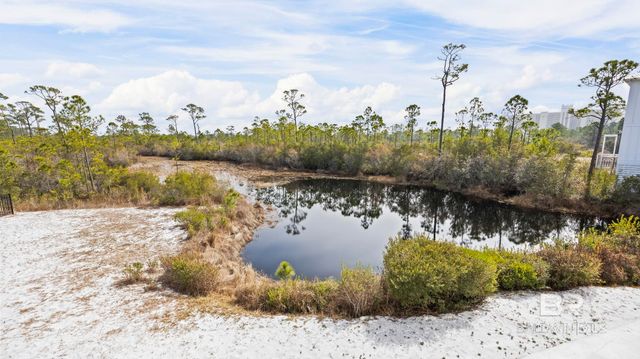 24193 Pepper Lane, Orange Beach, AL 36561