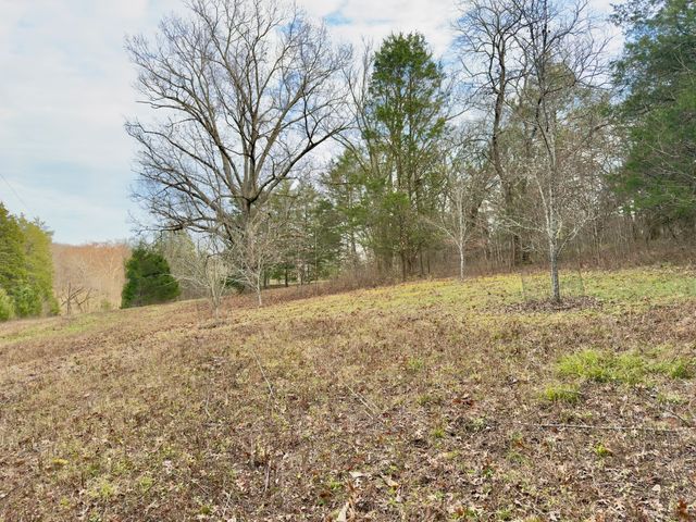 12112 Paw Paw Springs Rd, Arrington, TN 37014