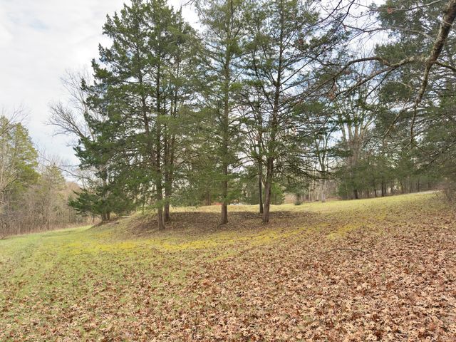 12112 Paw Paw Springs Rd, Arrington, TN 37014