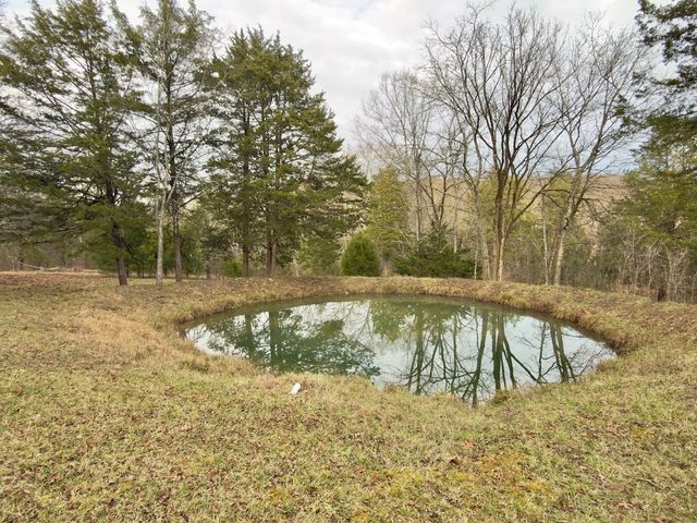 12112 Paw Paw Springs Rd, Arrington, TN 37014