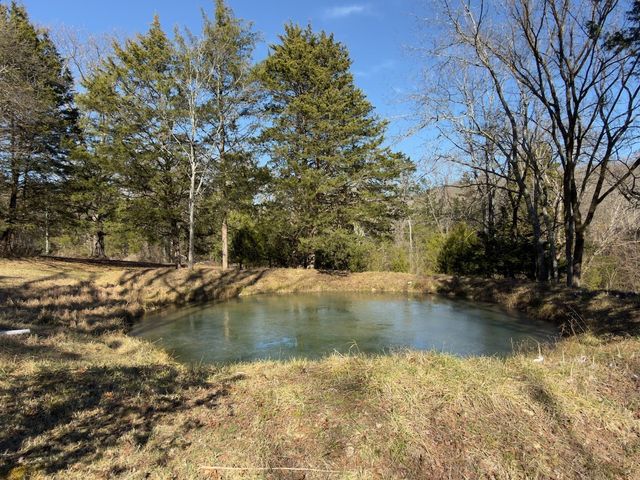 12112 Paw Paw Springs Rd, Arrington, TN 37014