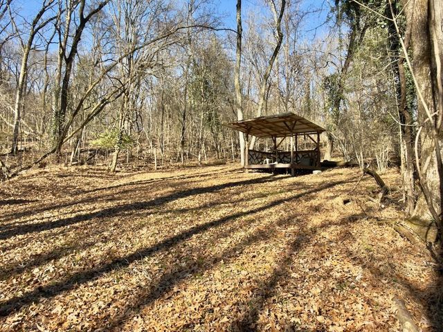 12112 Paw Paw Springs Rd, Arrington, TN 37014