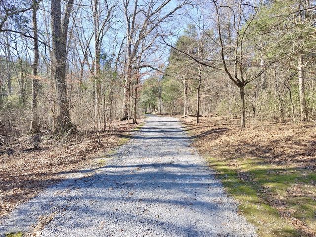 12112 Paw Paw Springs Rd, Arrington, TN 37014