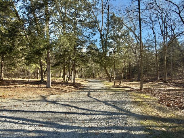 12112 Paw Paw Springs Rd, Arrington, TN 37014