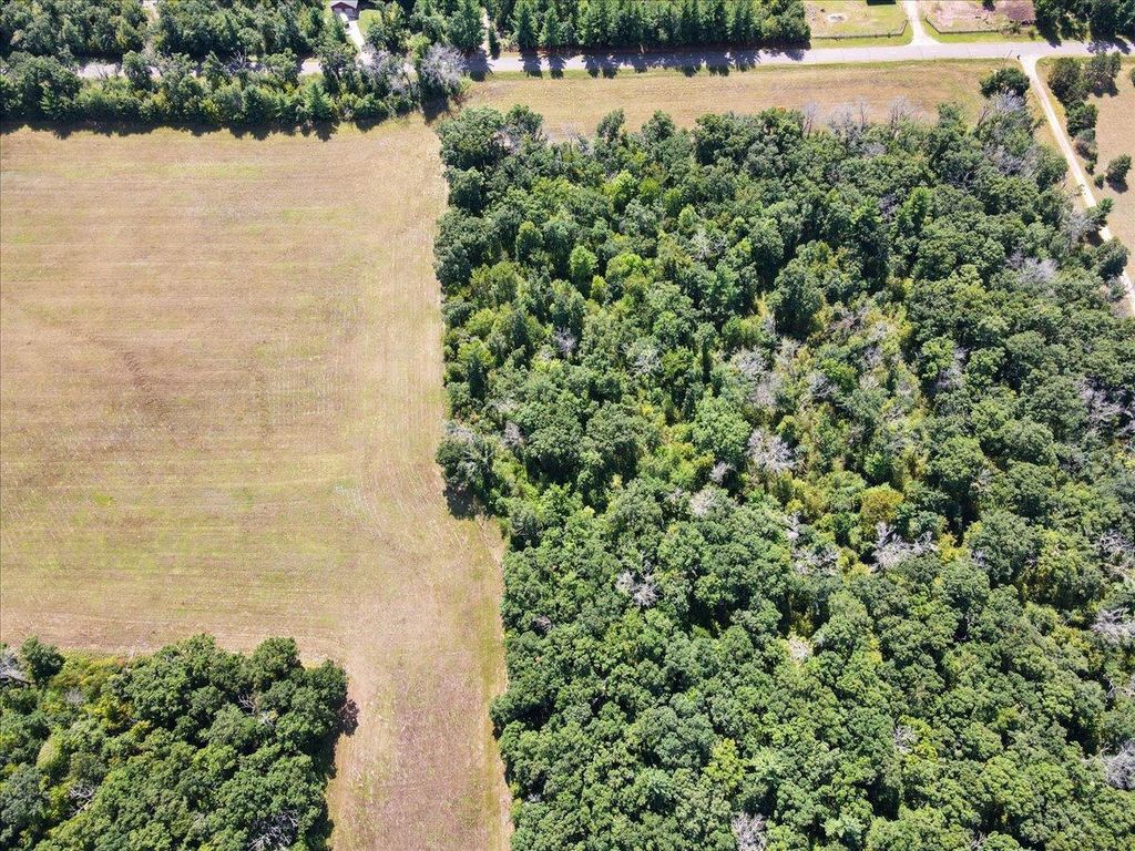 Lot 8 Olson Road, Sunrise Twp, MN 55032 — photo 4