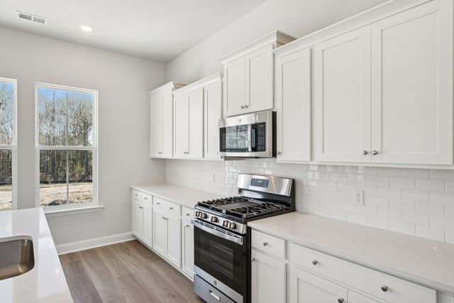 185 Threaded Fern Street, Summerville, SC 29485