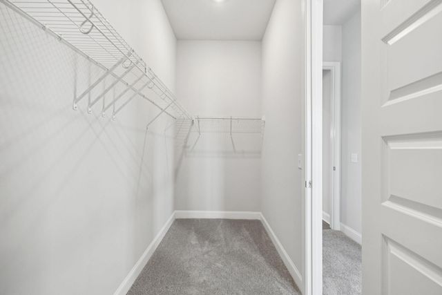 185 Threaded Fern Street, Summerville, SC 29485