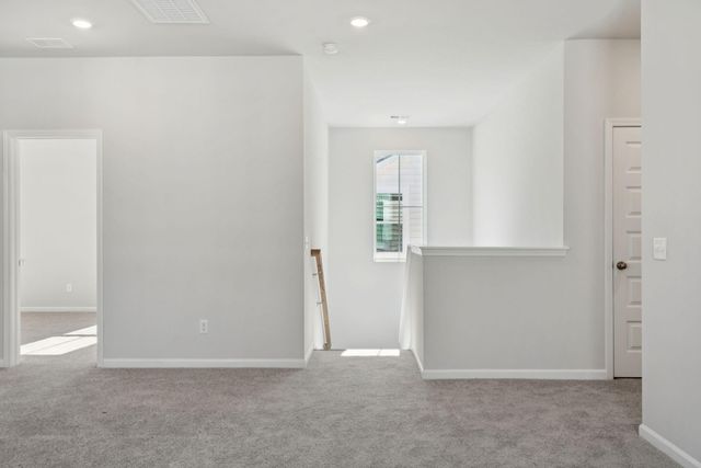 185 Threaded Fern Street, Summerville, SC 29485