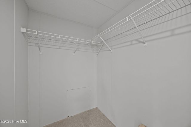 475 Vail Drive, Greenville, NC 27834