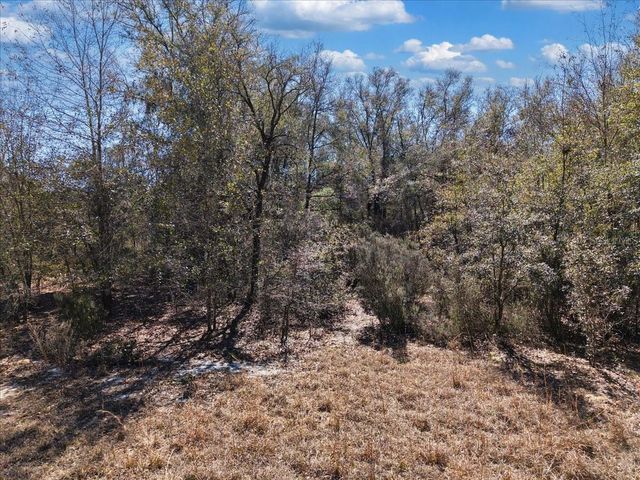 126TH ST, Bronson, FL 32621