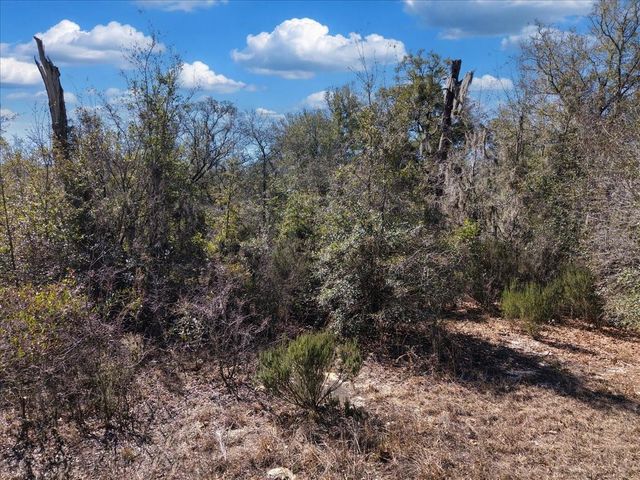 126TH ST, Bronson, FL 32621