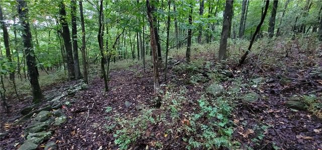 156 Pinehaven Drive, Winslow, AR 72959