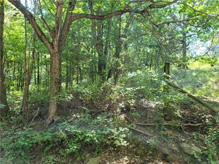 156 Pinehaven Drive, Winslow, AR 72959