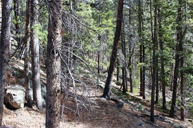 4-2 Lamertine Road, Idaho Springs, CO 80452