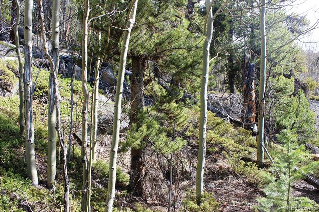 4-2 Lamertine Road, Idaho Springs, CO 80452