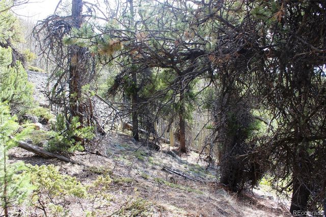 4-2 Lamertine Road, Idaho Springs, CO 80452
