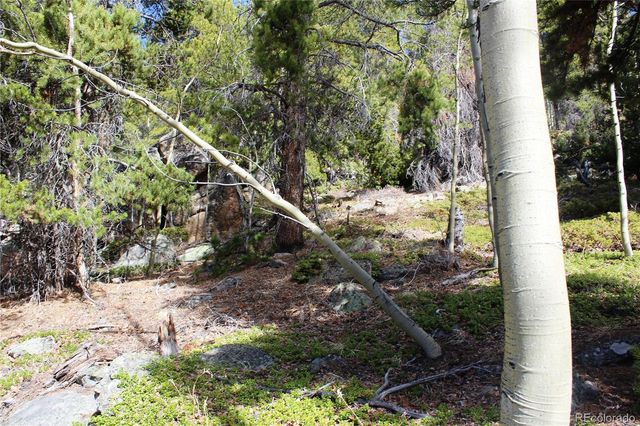4-2 Lamertine Road, Idaho Springs, CO 80452