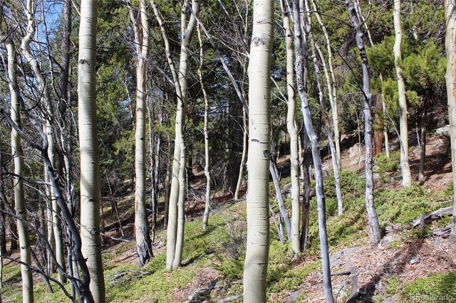 4-2 Lamertine Road, Idaho Springs, CO 80452