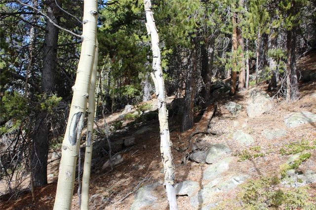 4-2 Lamertine Road, Idaho Springs, CO 80452