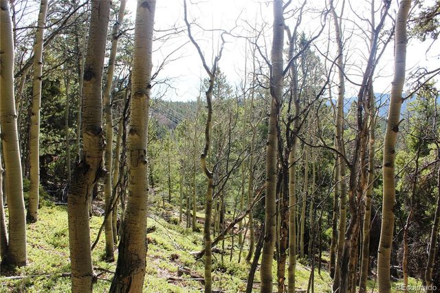 4-2 Lamertine Road, Idaho Springs, CO 80452