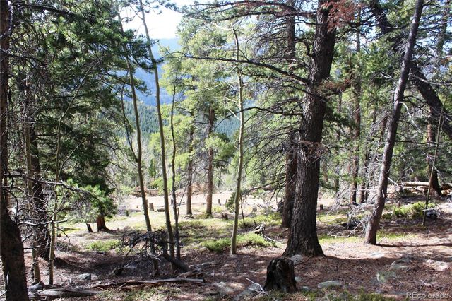 4-2 Lamertine Road, Idaho Springs, CO 80452