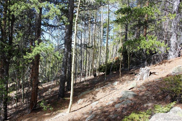 4-2 Lamertine Road, Idaho Springs, CO 80452