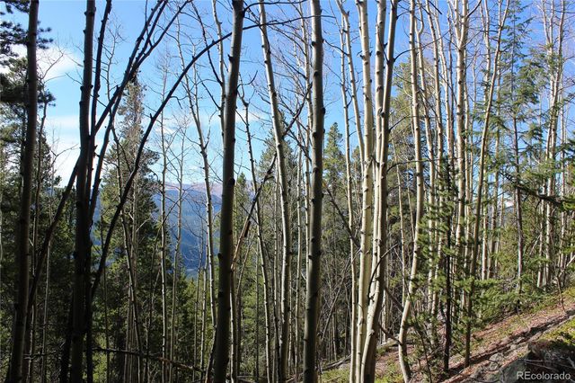 4-2 Lamertine Road, Idaho Springs, CO 80452