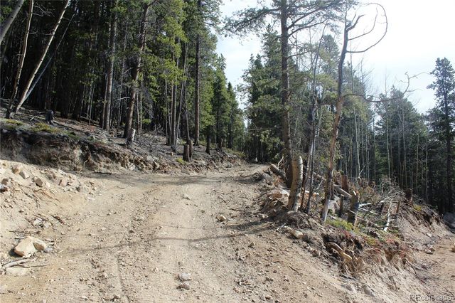 4-2 Lamertine Road, Idaho Springs, CO 80452