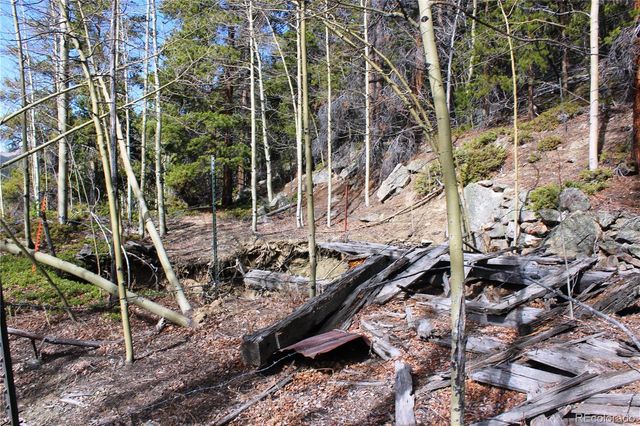 4-2 Lamertine Road, Idaho Springs, CO 80452