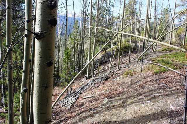4-2 Lamertine Road, Idaho Springs, CO 80452