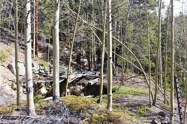 4-2 Lamertine Road, Idaho Springs, CO 80452
