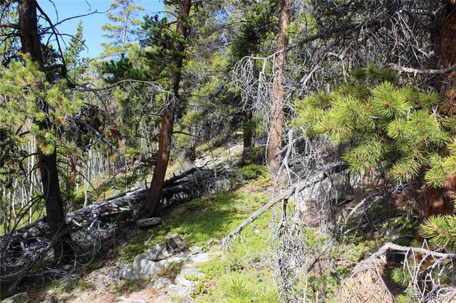 4-2 Lamertine Road, Idaho Springs, CO 80452