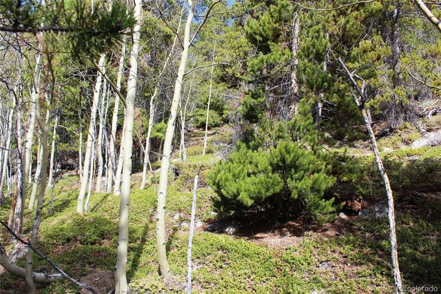 4-2 Lamertine Road, Idaho Springs, CO 80452