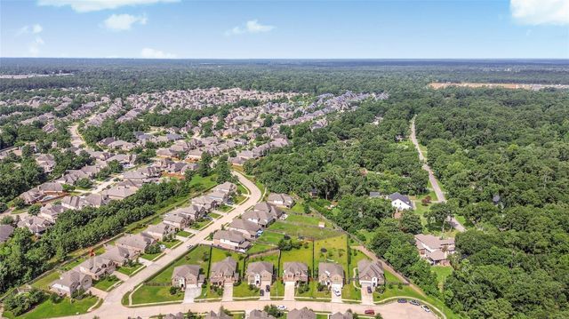 120 Chestnut Run Court, Conroe, TX 77384
