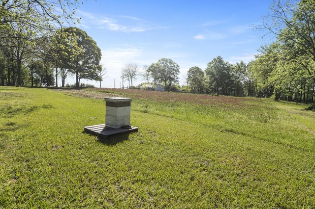 185 Lakeview Rd., Columbia, MS 39429