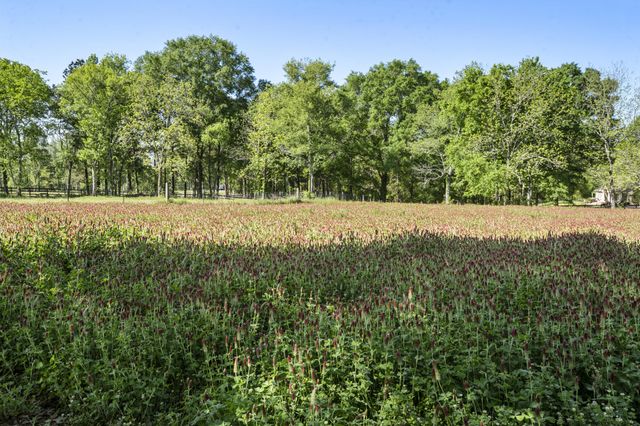 185 Lakeview Rd., Columbia, MS 39429