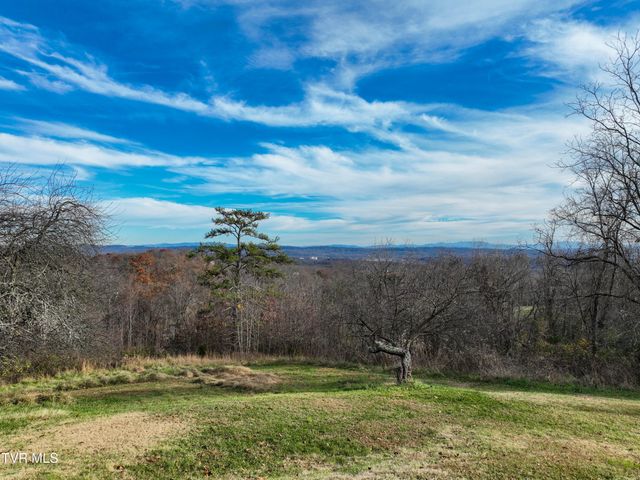 1141 Ridgecrest Avenue, Kingsport, TN 37665