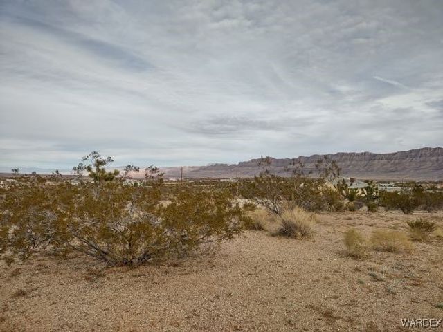 1398 W Overton Drive, Meadview, AZ 86444