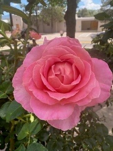 3108 Pueblo Sapawe, Santa Fe, NM 87507