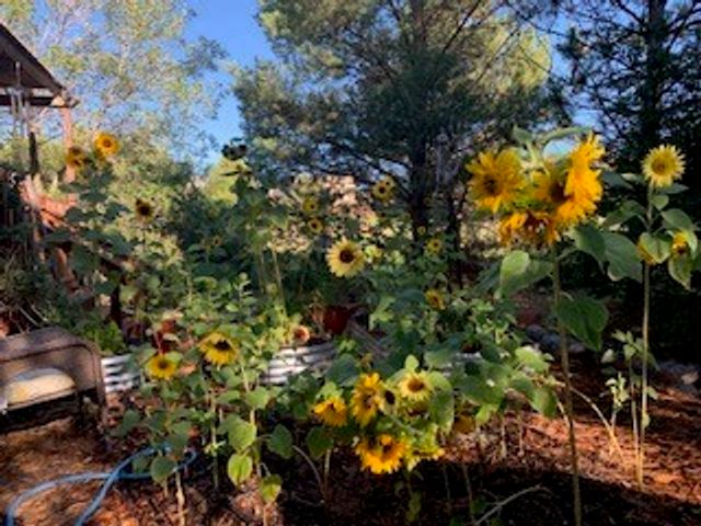 3108 Pueblo Sapawe, Santa Fe, NM 87507