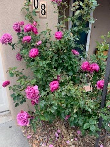 3108 Pueblo Sapawe, Santa Fe, NM 87507