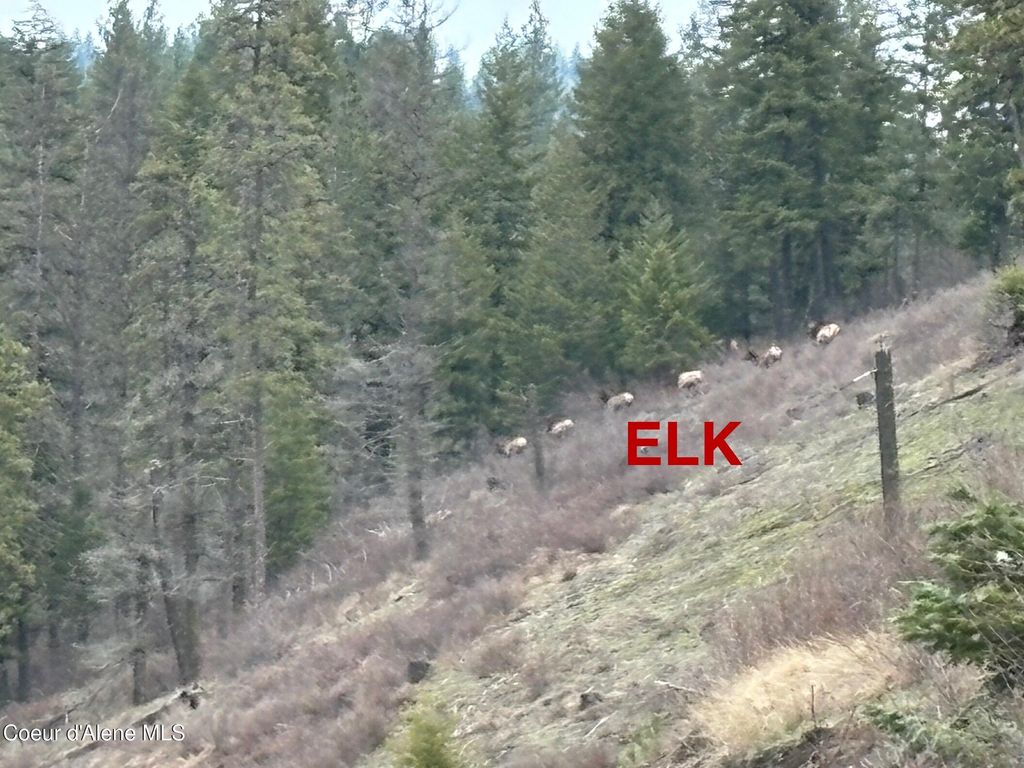 2304 S Blue Creek Road, Coeur d'Alene, ID 83814 photo 22