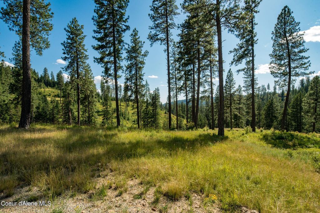 2304 S Blue Creek Road, Coeur d'Alene, ID 83814 photo 6