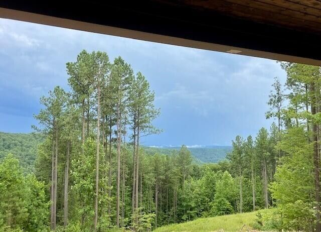 4190 Split Rail Way Way # 1368, Guild, TN 37340