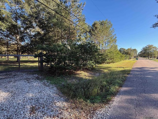 26430 Clyde Blount Rd, Livingston, LA 70754