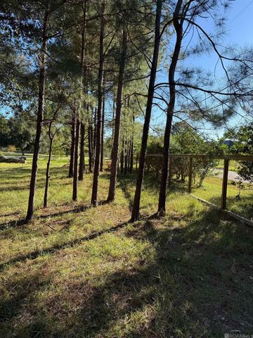 26430 Clyde Blount Rd, Livingston, LA 70754