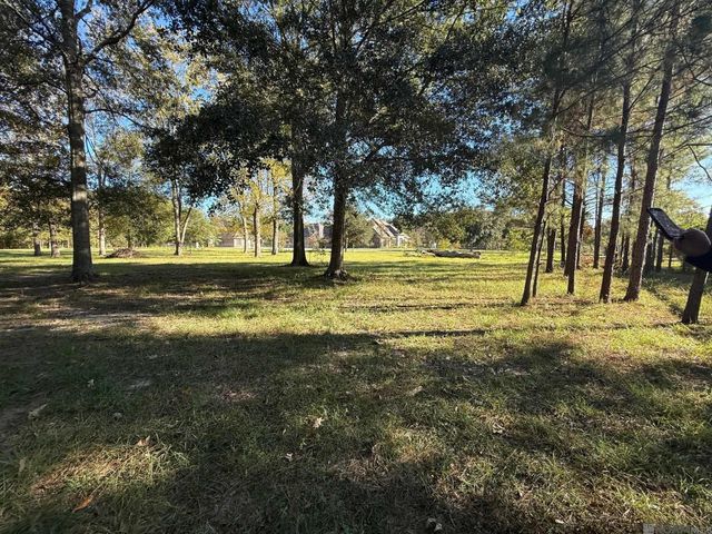 26430 Clyde Blount Rd, Livingston, LA 70754